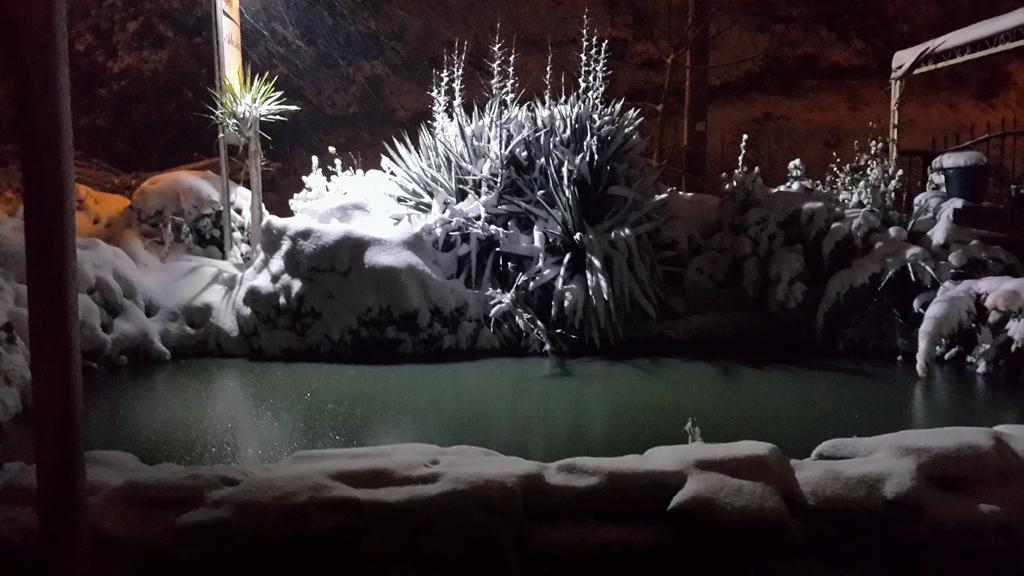 Alesta Butik Otel Ağva Esterno foto